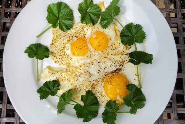 Plate of iodine and selenium-rich foods including fish, eggs and brazil nuts, representing an underactive thyroid diet