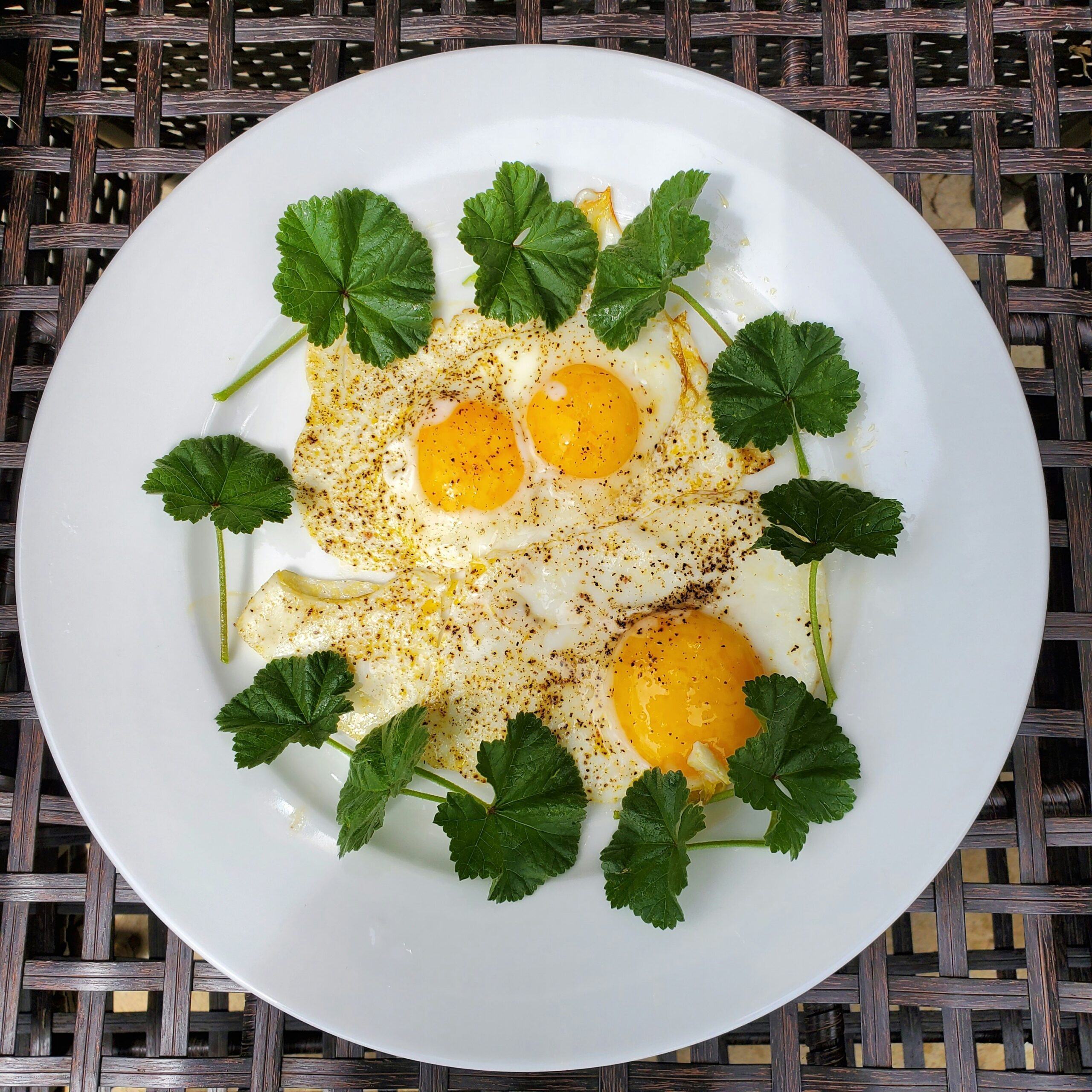 Plate of iodine and selenium-rich foods including fish, eggs and brazil nuts, representing an underactive thyroid diet